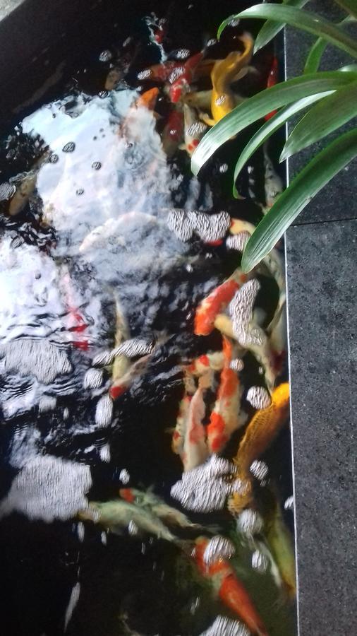 Khach San Hiep Yen Hotel Tuy Hoa Luaran gambar
